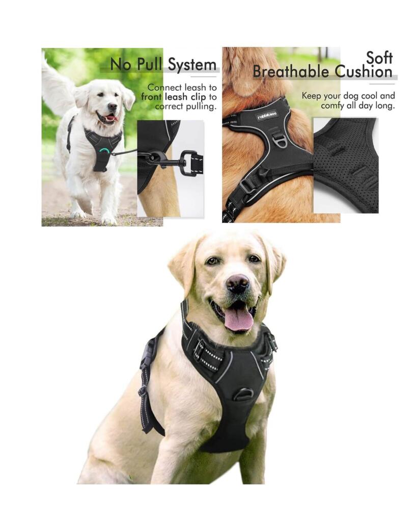 which is the best dog harness