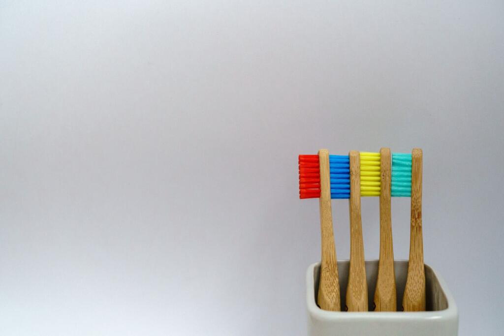dog toothbrush