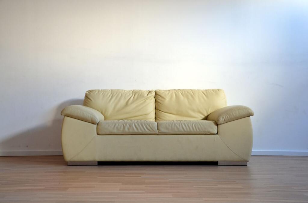 steam cleaner for sofa
